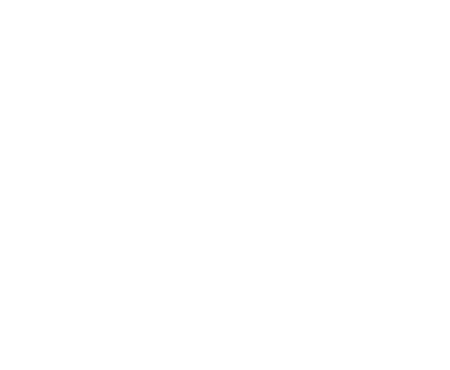 Логотип ADS MOTORS Service / Station